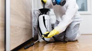 Best Real Estate Pest Inspections  in Antwerp, OH